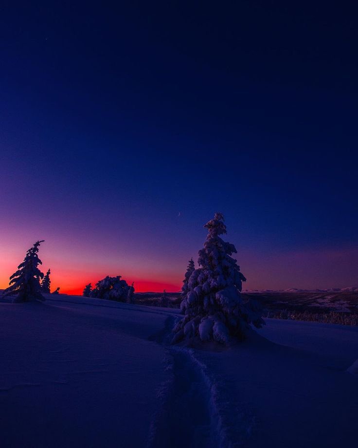 salt (@ancilladominii) on Twitter photo 