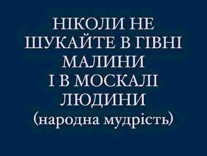 lepeseypetr's tweet image. 