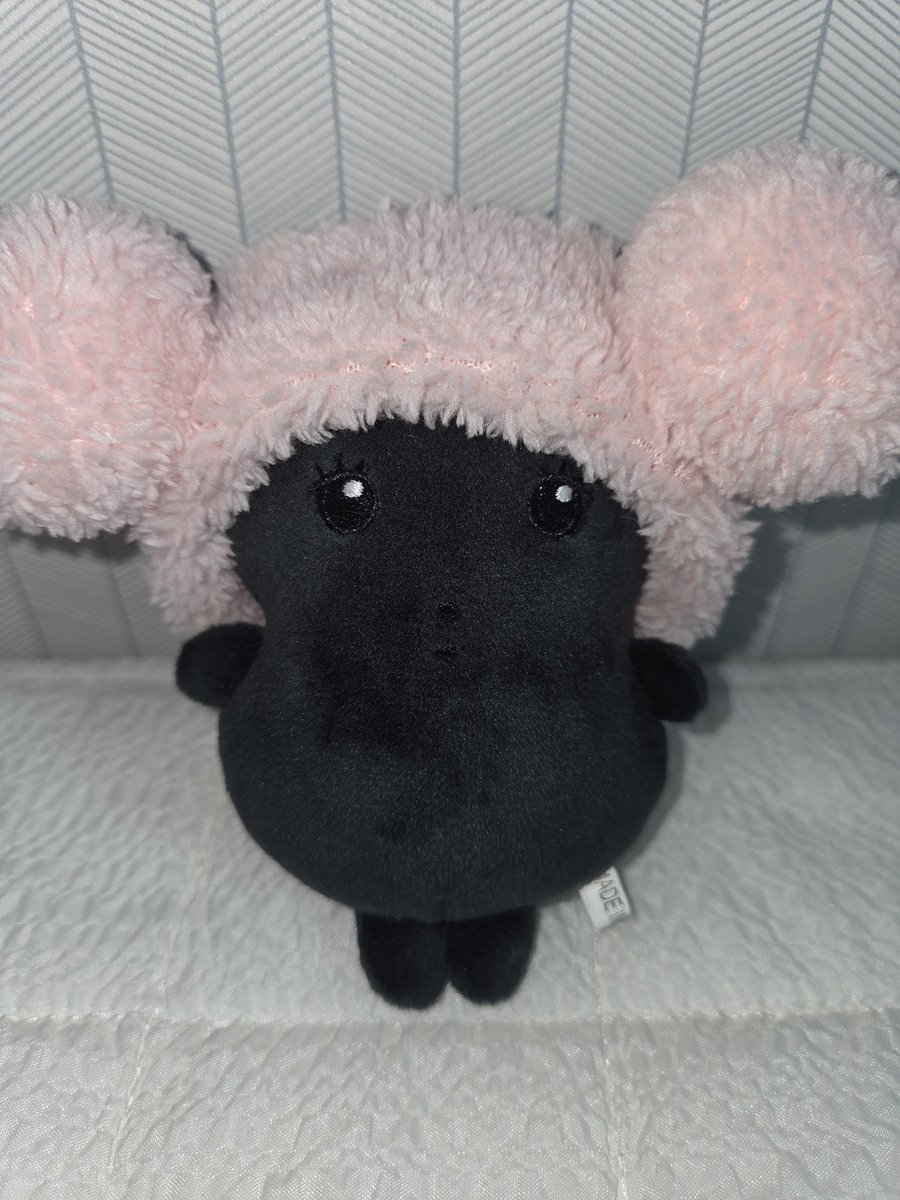 띠더지 도착⚫️🩷