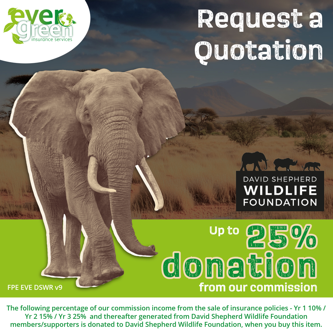 Want to protect elephants, rhinos, and tigers? 🐘 Choose <a href="/DSWFWildlife/">David Shepherd Wildlife Foundation</a> – every policy makes a difference! #EndangeredSpecies #DSWF #ConservationHeroes