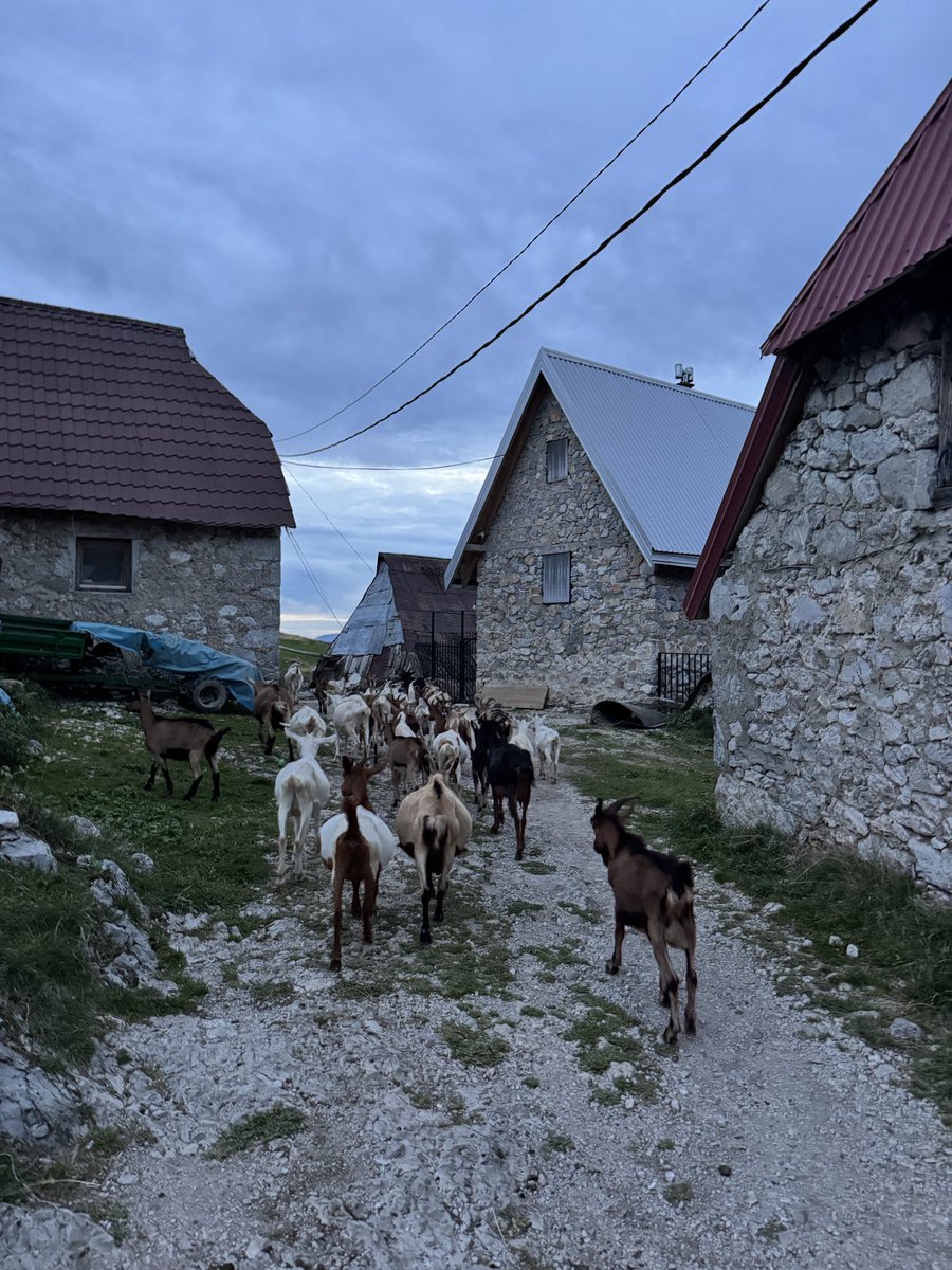 Completed a two day hike to Bosnia’s most isolated village - Umoljani to Lukomir, a place frozen in time. It’s also the highest elevation village in the country and sits on the edge of a massive canyon.