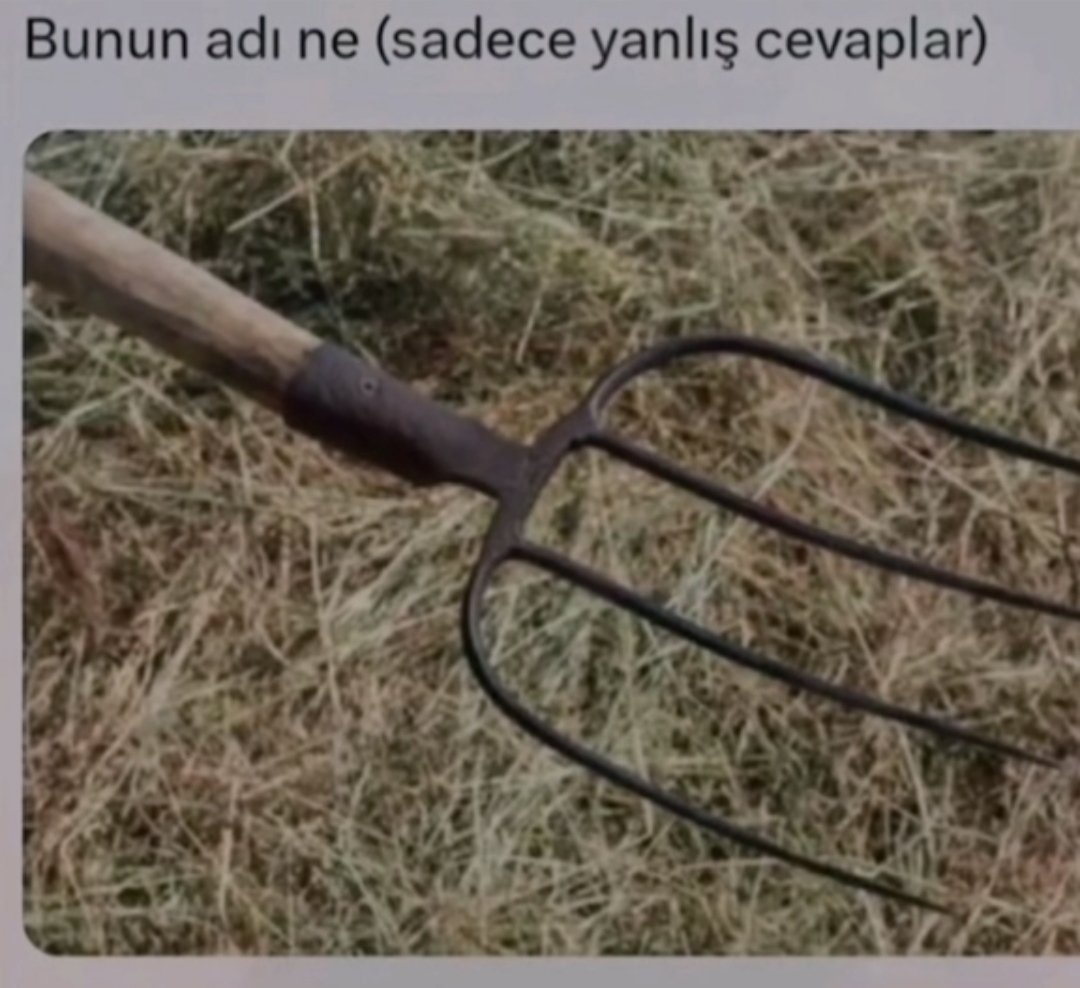 Bunun adı ne (sadece yanlış cevaplar ?)