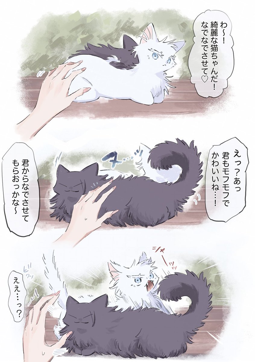 漫画とは何も関係ない猫五夏ねこごげ※モブ手あり