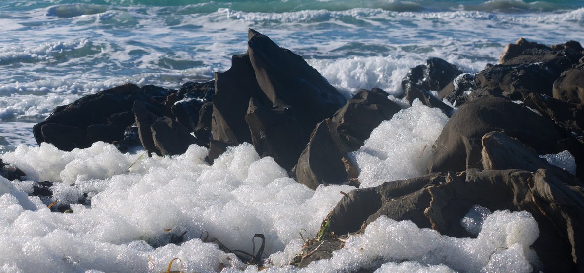 🌿 The latest Goyder eNews is out!
🔍 Highlights: Goyder’s contribution to the Senate inquiry on algal blooms, new Australia–NZ HAB network, CLLMM updates, and your chance to help shape the region’s next 15 years via our horizon‑scan survey - mailchi.mp/goyderinstitut…