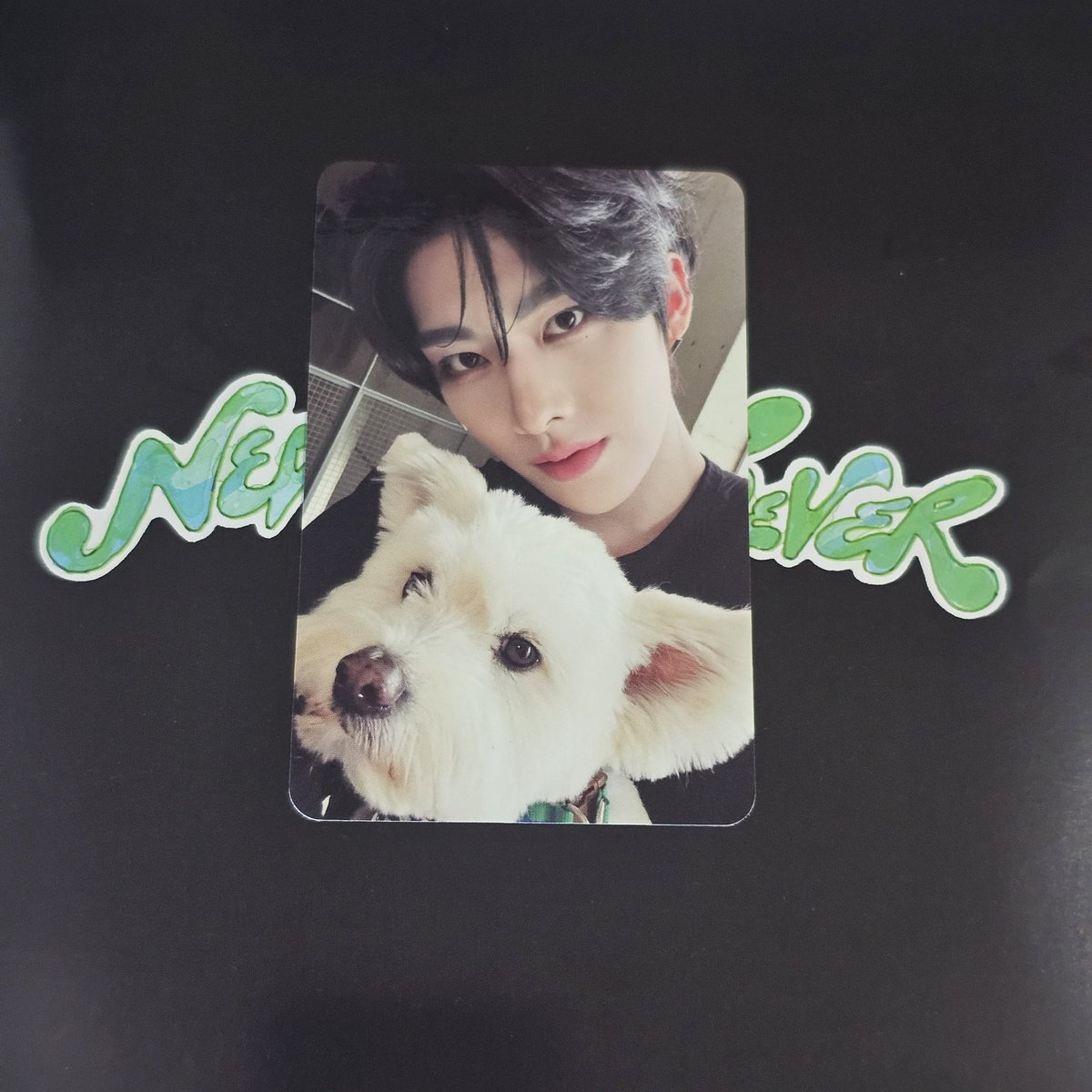 wtt nsn zb1 zerobaseone pc digipack

have: ricky, gunwook
want: yujin

never say never puppy

📍 bogor ina