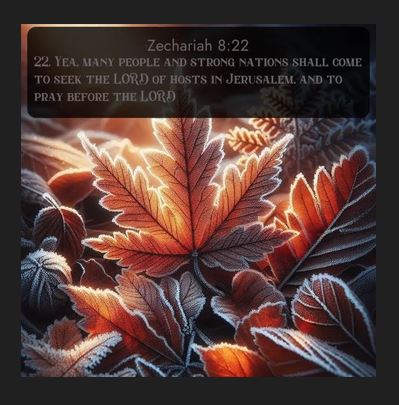Michael65413248's tweet photo. 30Sep25(Tue) #MassReadings https://t.co/BKRIa80tJU
Saints' Commentaries
#Zechariah8:20-23 Rev.#GeorgeLeoHaydock https://t.co/cdLGz39Ozl
#Psalm87 #StAugustine
https://t.co/0WKSl0dcRs
#Luke9:51-56 #CatenaAurea https://t.co/M1D8RKpaK1
Sending Peace,Love & Joy to You from #Singapore! https://t.co/mAtIgr5XaY