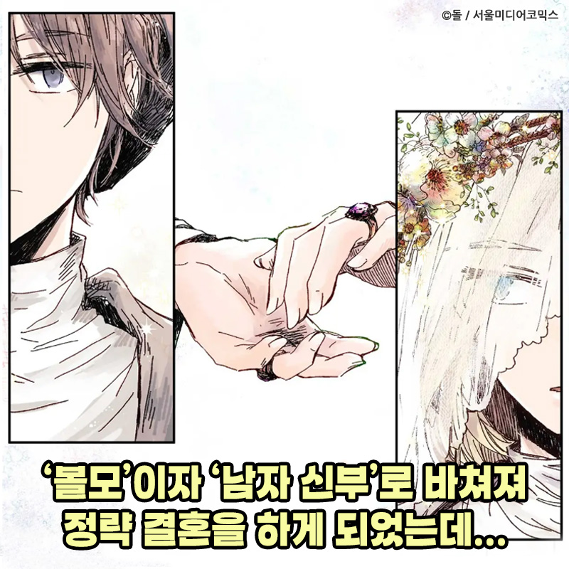 witchcomics's tweet photo. 볼모로 보내진 남자 신부,
그는 왜 날 받아준 걸까? 

👇다정공x상처수 <산왕의 궁전에서> 무료 보기👇
