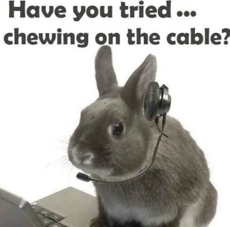 🕐HOURLY🕑 shitpost (@hourly_shitpost) on Twitter photo 