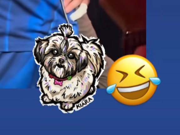 Simone using a shih tzu sticker 😭🤣
