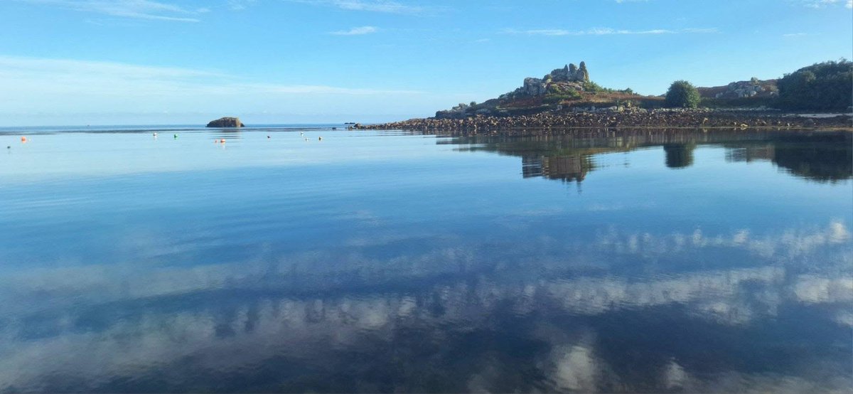 Rebecca Baldwin tweet media