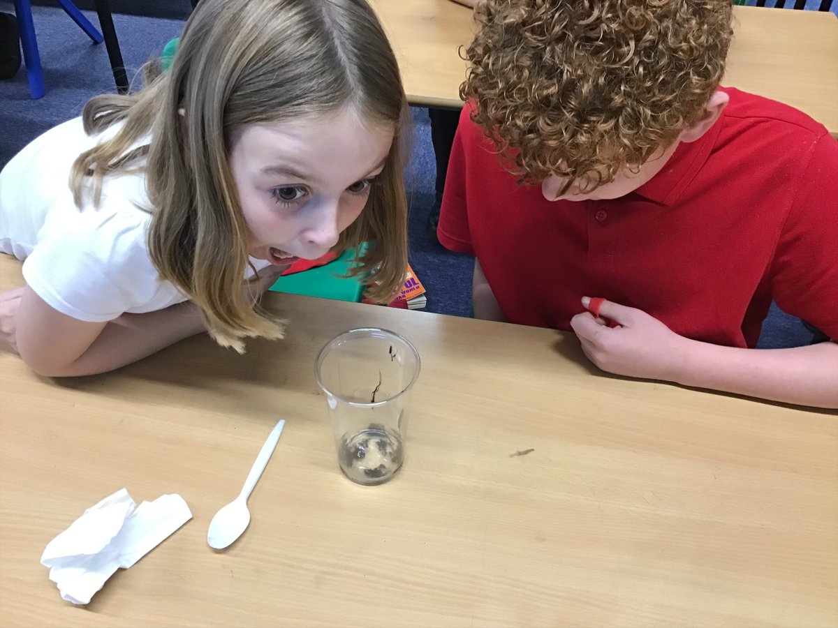 Mrs Belton tweet media