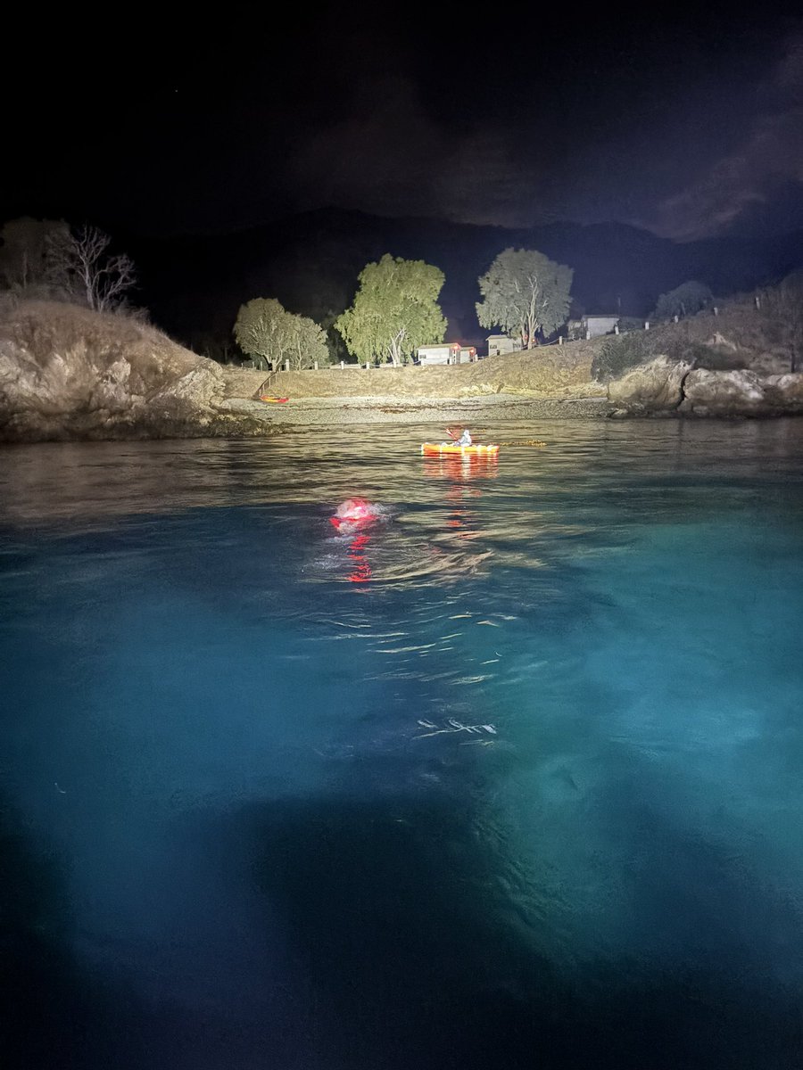 Tim Denyer tweet media