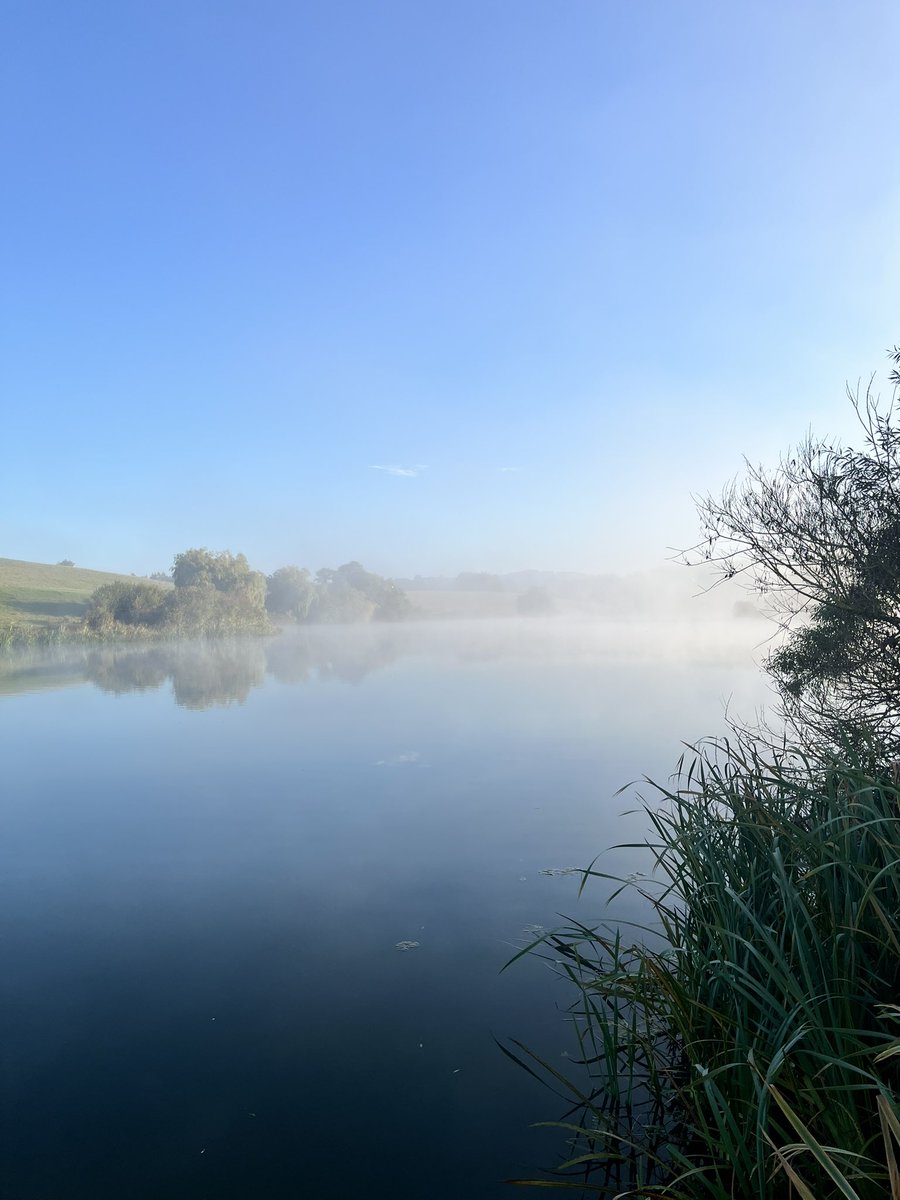 Is there a better view of a morning?