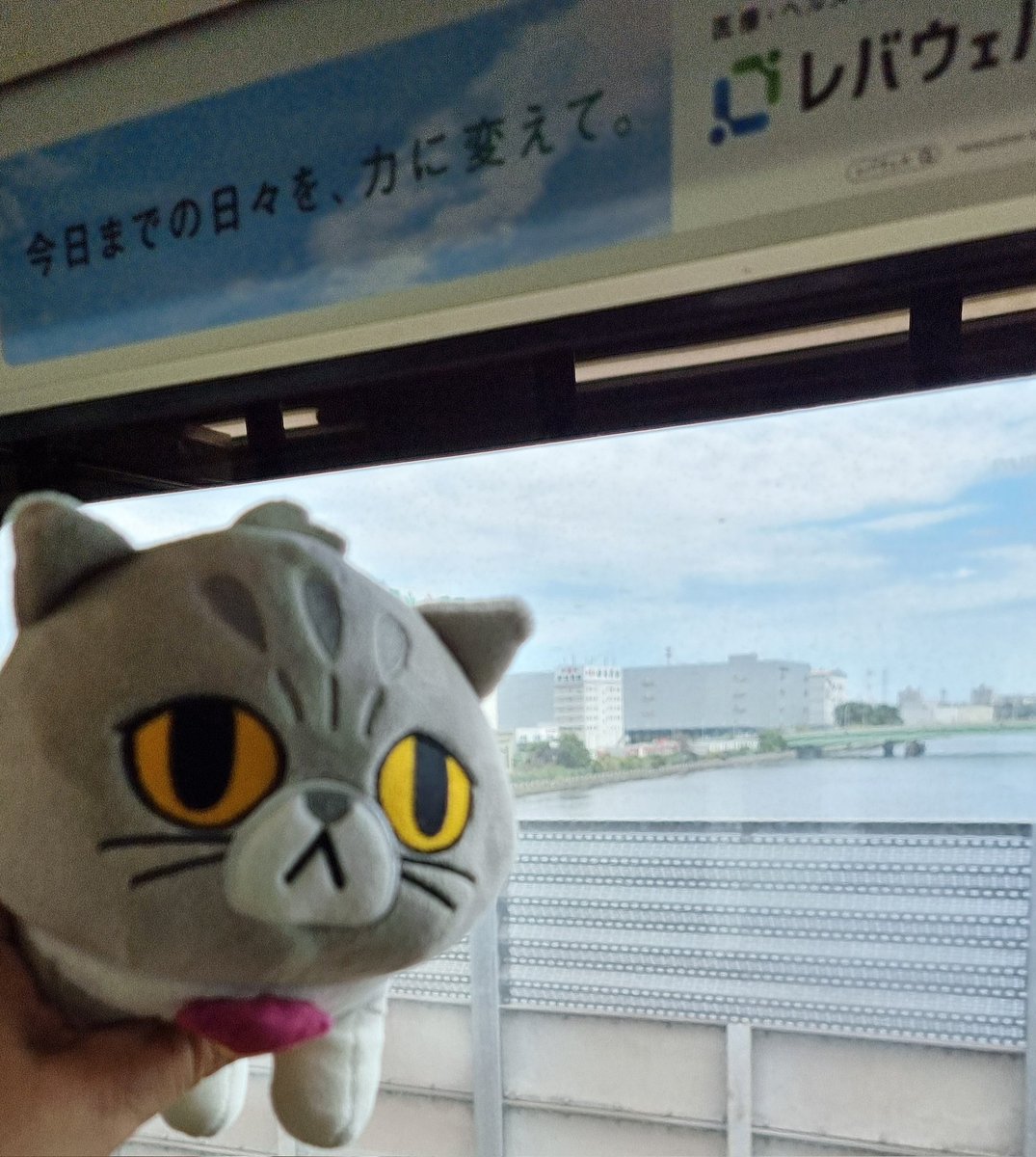 After a busy <a href="/tokyo_game_show/">TOKYO GAME SHOW／東京ゲームショウ</a> , I finally have a chance to visit Tokyo. It's my first time in #Japan and I want to see everything!
😻