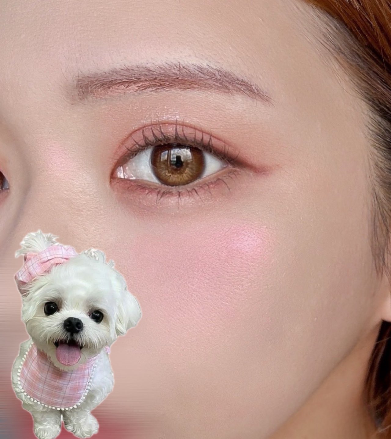 チーク elu mama チーク elu mama Wonjungyo ウォンジョンヨ ベアブルームチーク