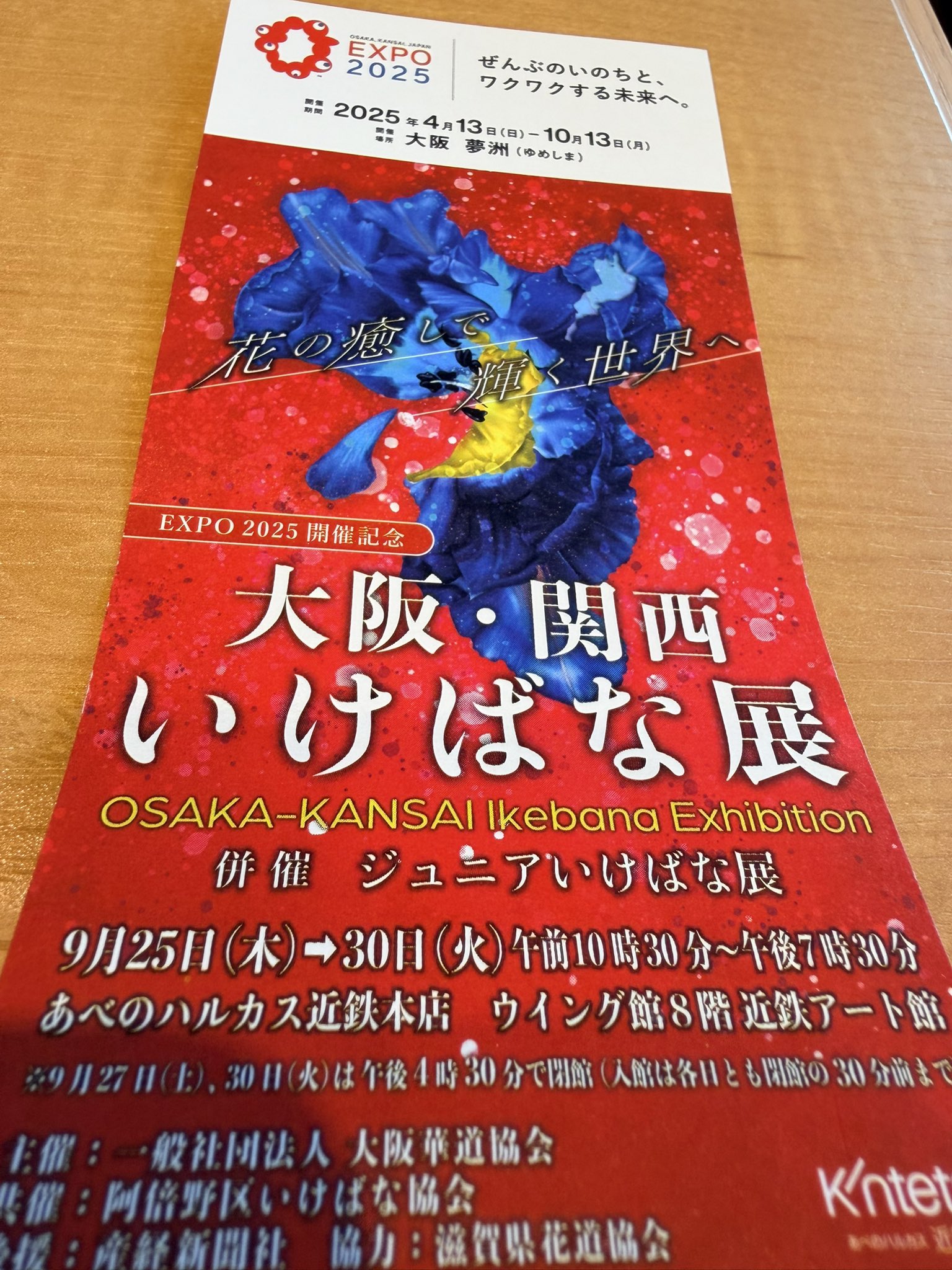 ミスチル⋈ *。 （お取り置き8/26〜） カーメイト 補助ミラー 後方確認用 CZ385 : オートバックスYahoo