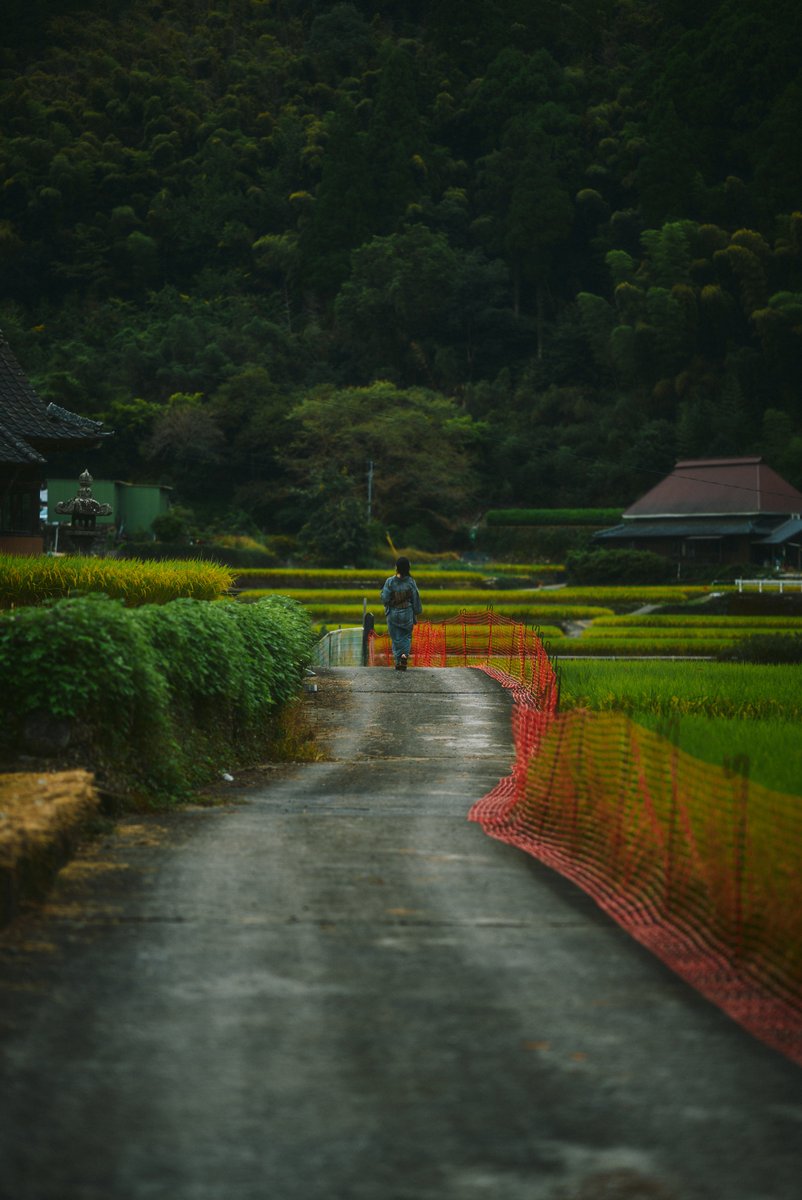 shintake_photo's tweet image. Fragments