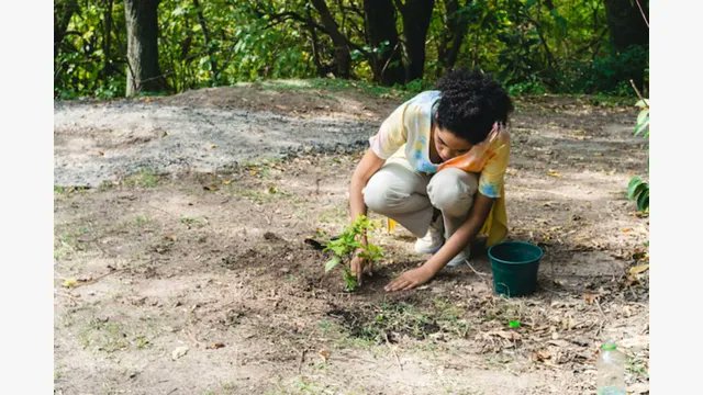 SIS Signature tweet media