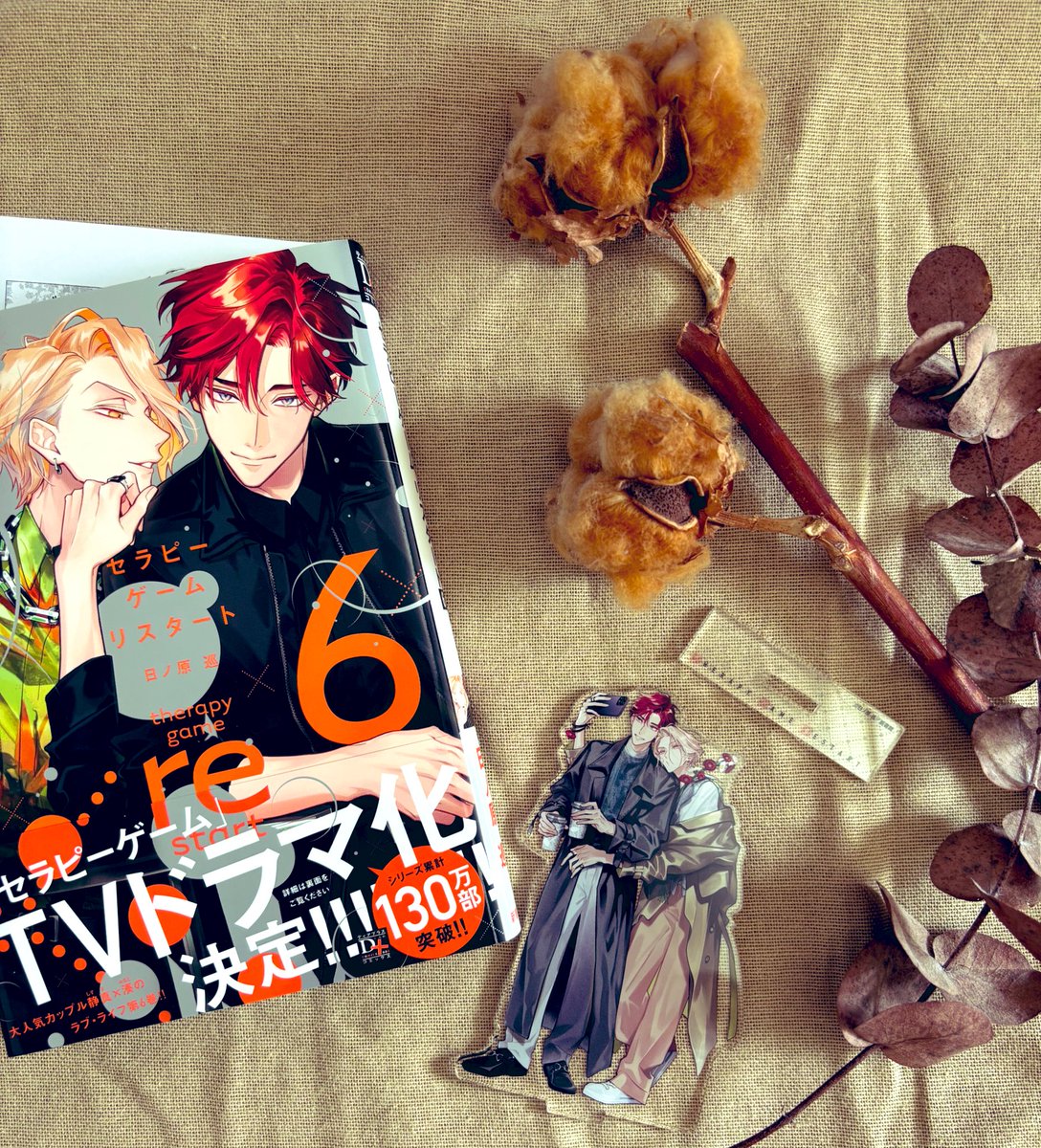私の中でポジティブの帝王、静真が湊のちょっとした一言に不安になって、その不安を当たり前に払拭させて静真の最高の笑顔を引き出す湊。なんですか、このバカップルは🤍
そして新キャラ…どこの誰だよキニナル

✩季節感たっぷりのメイトさんのアクスタ超可愛いよ☆
 #セラピーゲームリスタート６感想