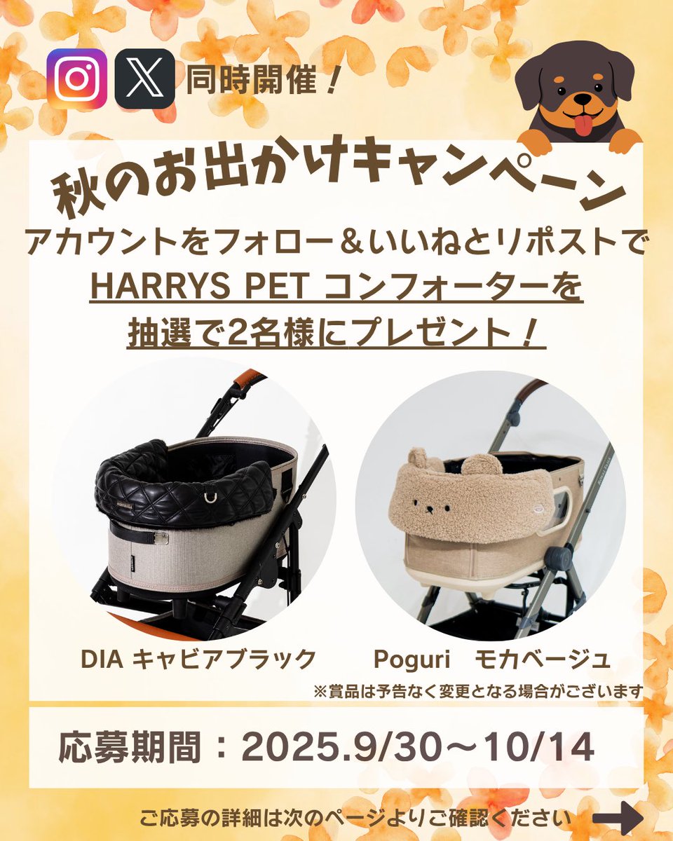 HaradaOfficial's tweet photo. 🍁🌰秋のお出かけキャンペーンを開催🌰🍁

贅沢マスクでお馴染みの原田産業ですが
実は！韓国発、ペット用品ブランド
【HARRYS PET】
オフライン限定の日本正規販売代理店をしております🐕

少しずつお出かけしたくなる季節になりましたね🍂
そこで！愛犬とのお出かけで大活躍の
ペットカート用コンフォーターを
抽選で2名様にプレゼント！

▼キャンペーン期間
2025年9月30日（火）〜10月14日(火)23:59

▼応募方法
①@HaradaOfficial をフォロー
②キャンペーン投稿をいいね&リポスト

詳しい応募方法などは2ページ目以降をご確認下さい。
応募方法、応募規約をよく読みご参加ください🐶

たくさんのご応募お待ちしております！

#愛犬 #いぬすたぐらむ #いぬのいる暮らし #犬とお散歩 #犬とお出かけ #犬 #犬バカ #プレゼント #プレゼントキャンペーン中 #ペットカート #カートアクセサリー