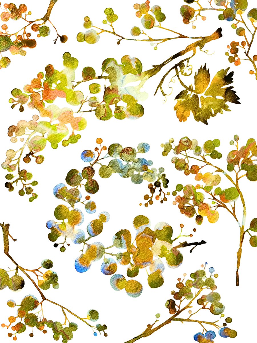 artistsmn's tweet photo. Sommelier Vineyard Watercolor Series: fine art prints, fabric and wallpaper
https://t.co/OK3KxLr801 https://t.co/zu6QKJtse6