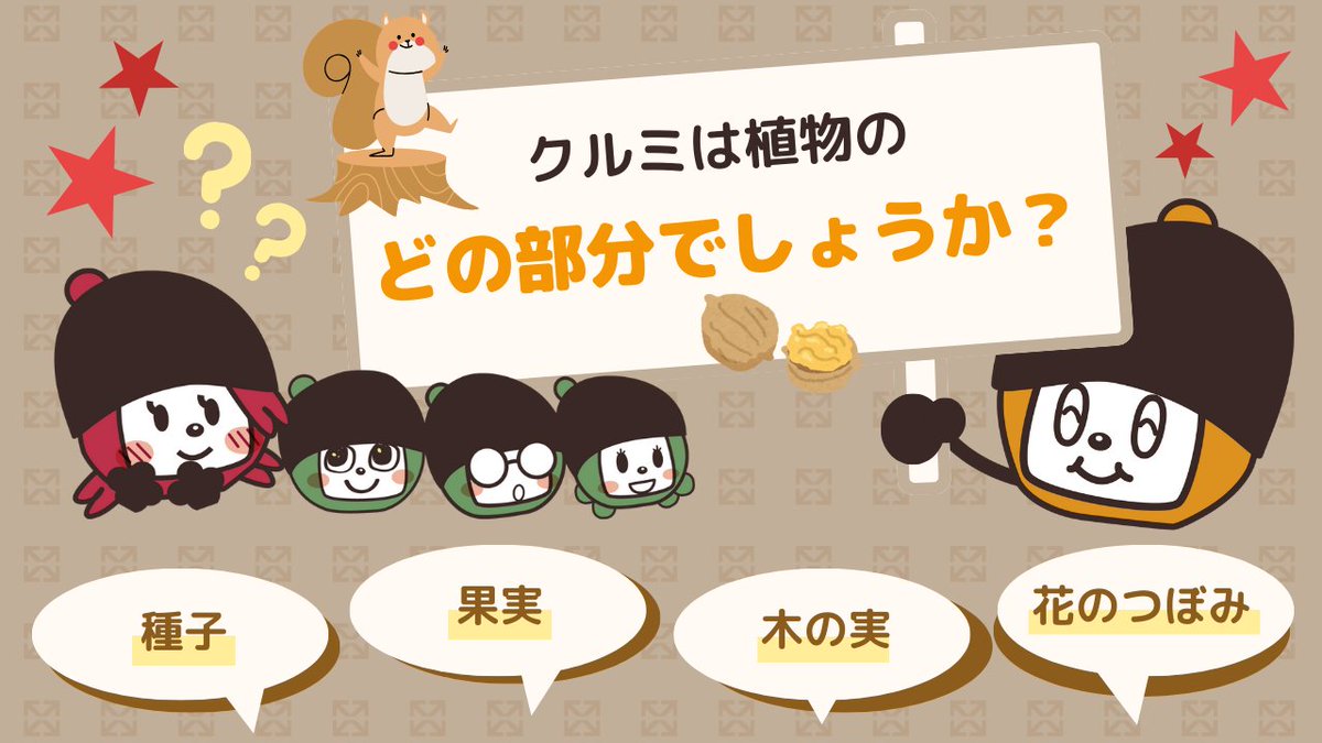 macromill_enq's tweet image. 9月30日は #クルミの日 だよ~📣
「く(9)るみ(3)はまるい(0)」と読む語呂合わせから制定されたんだって☺️
そんなわけで、クイズだよ✨
クルミは植物のどの部分でしょうか?
食用とされている部分を答えてね😉