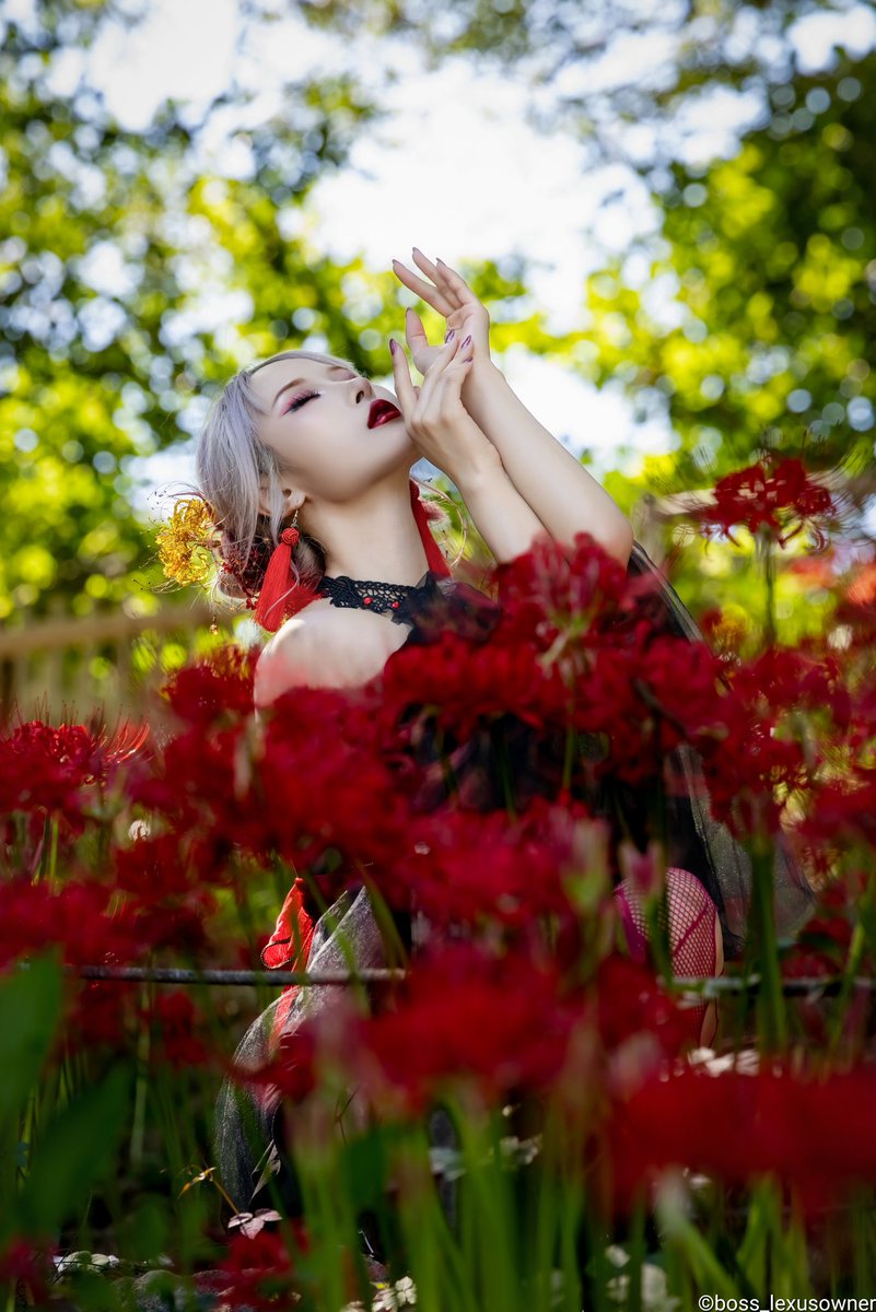 boss_lexusowner's tweet image. Request photography
2025.09.26
Model:Ayaさん
@Ay_yn_ 

#曼珠沙華 #彼岸花 #clusteramaryllis
#portrait #portraitphotography