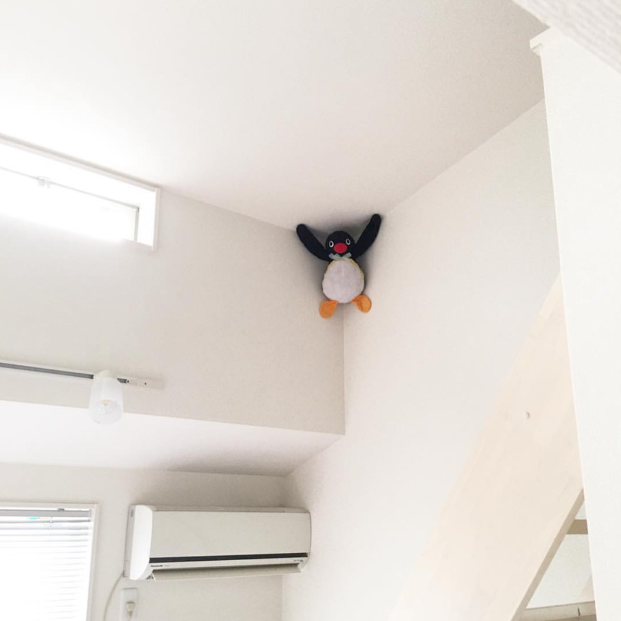 ☺︎ベアーになります みず@みふぃ&ぼりlove (@miz7fff) / X