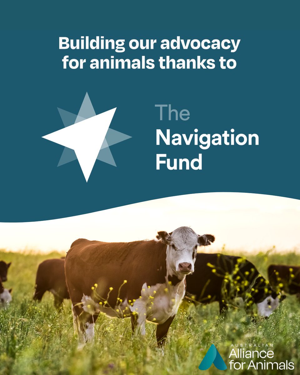 Australian Alliance for Animals tweet media