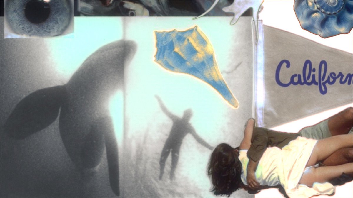 BEACON MAN tweet media