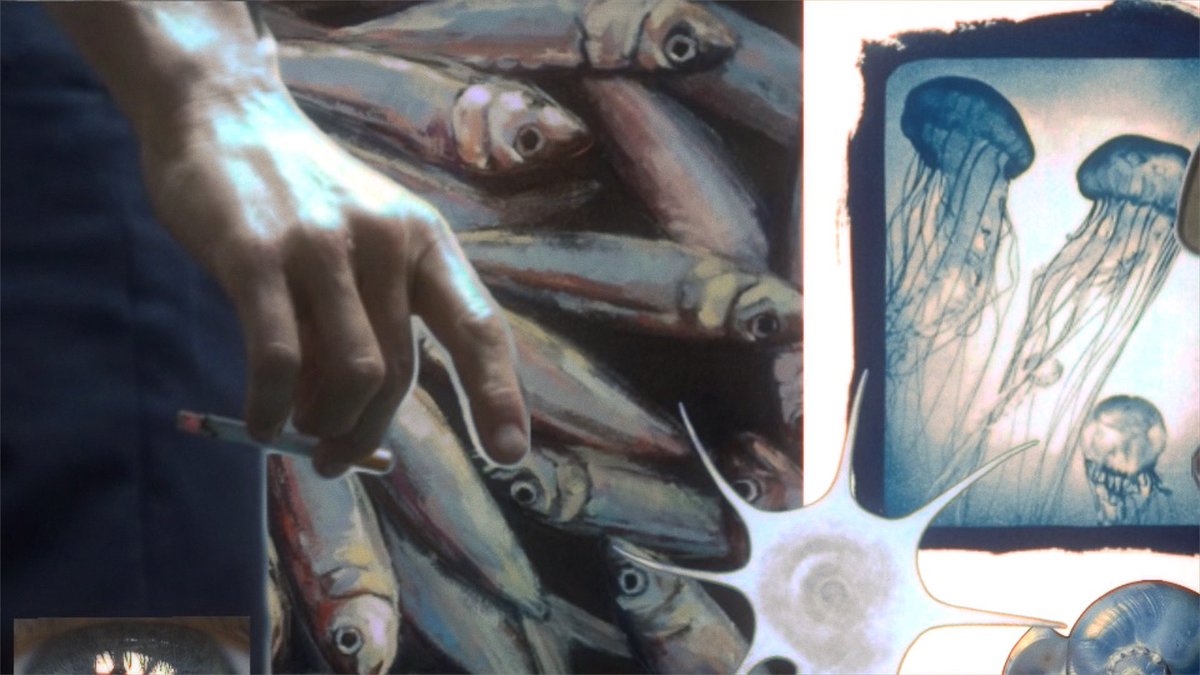 BEACON MAN tweet media