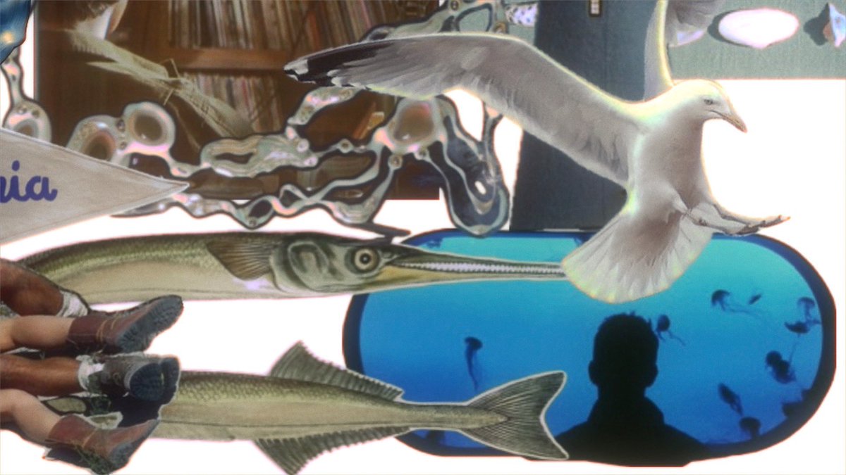 BEACON MAN tweet media