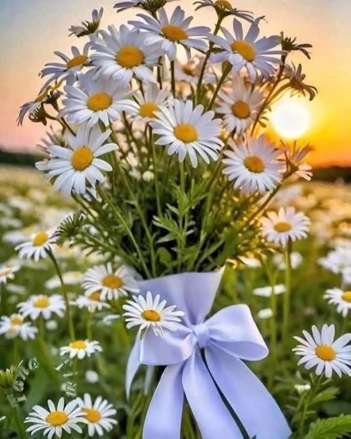 GÜNAYDINLAR 💐💐💐💐💐