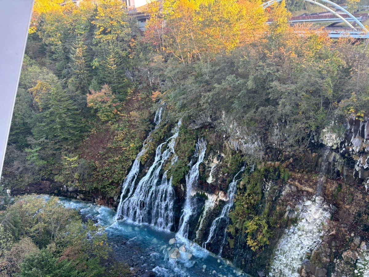 写真撮るの下手過ぎて綺麗なのに伝わらない😑