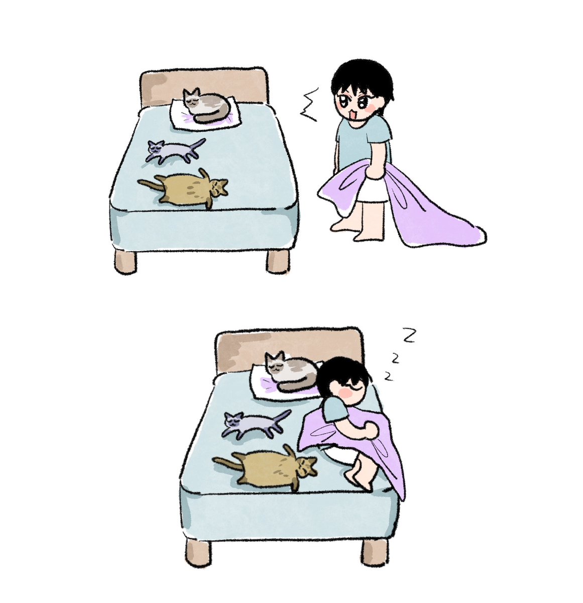 🐱🐱🐱🌙💤