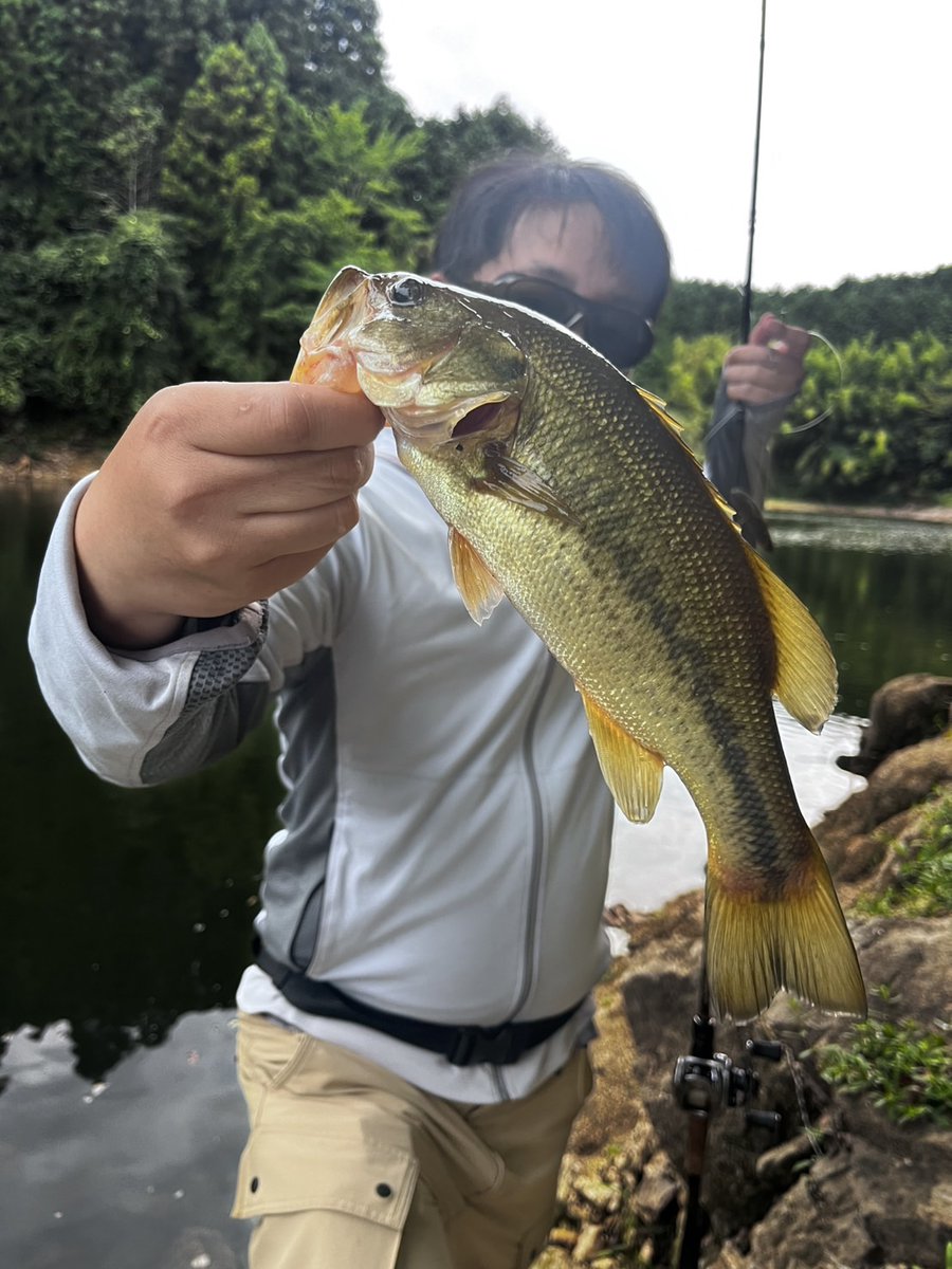 koukichibass's tweet photo. こないだシーズン中は40up
釣れるとかほざいたのは
コイツです👎️

今年、難しすぎません？😨 https://t.co/VR3iUAfnOp