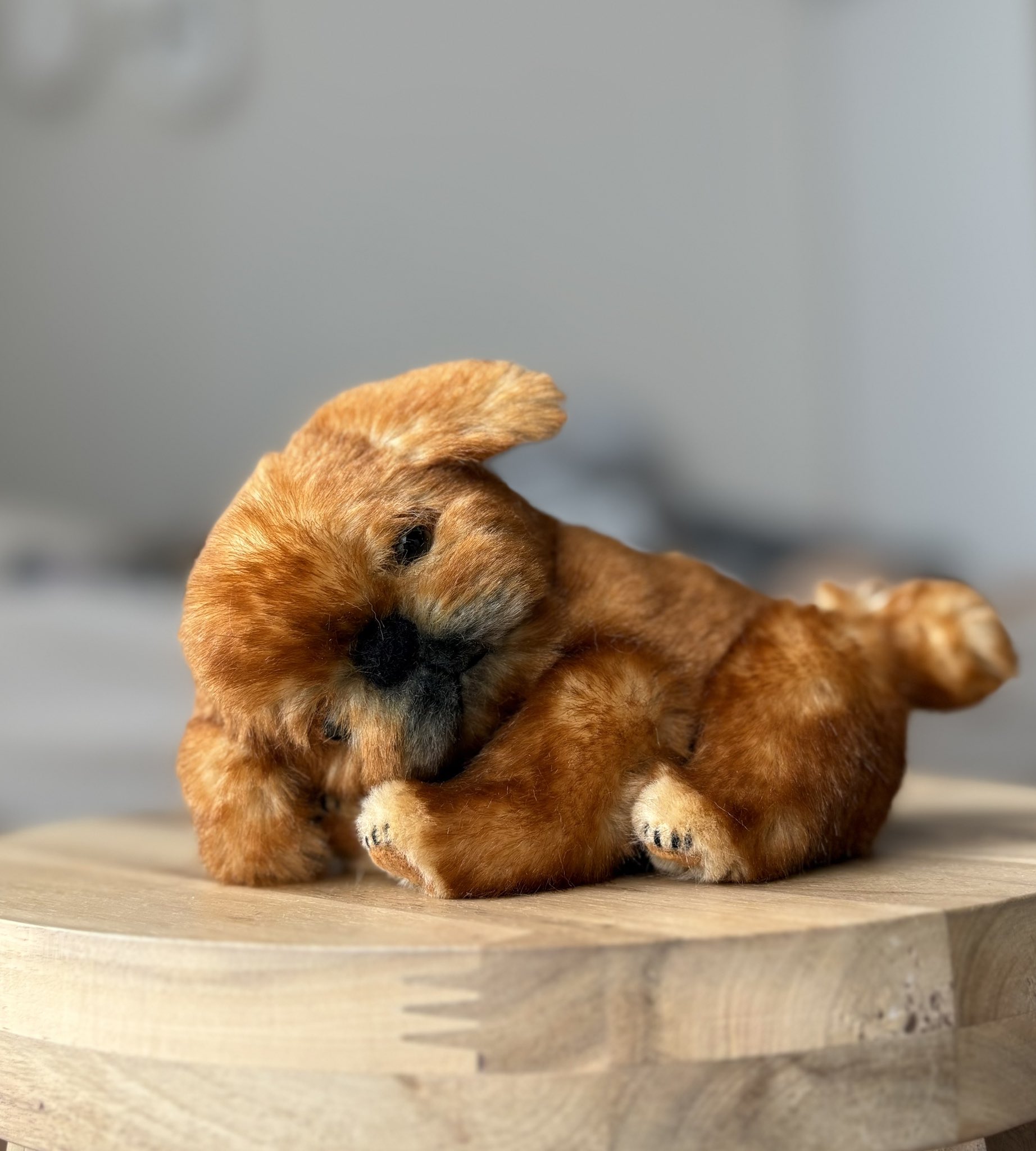 mironuts 作家 クマ テディベア ハンドメイド ぬいぐるみ mironuts 作家 クマ テディベア ハンドメイド ぬいぐるみ みはら