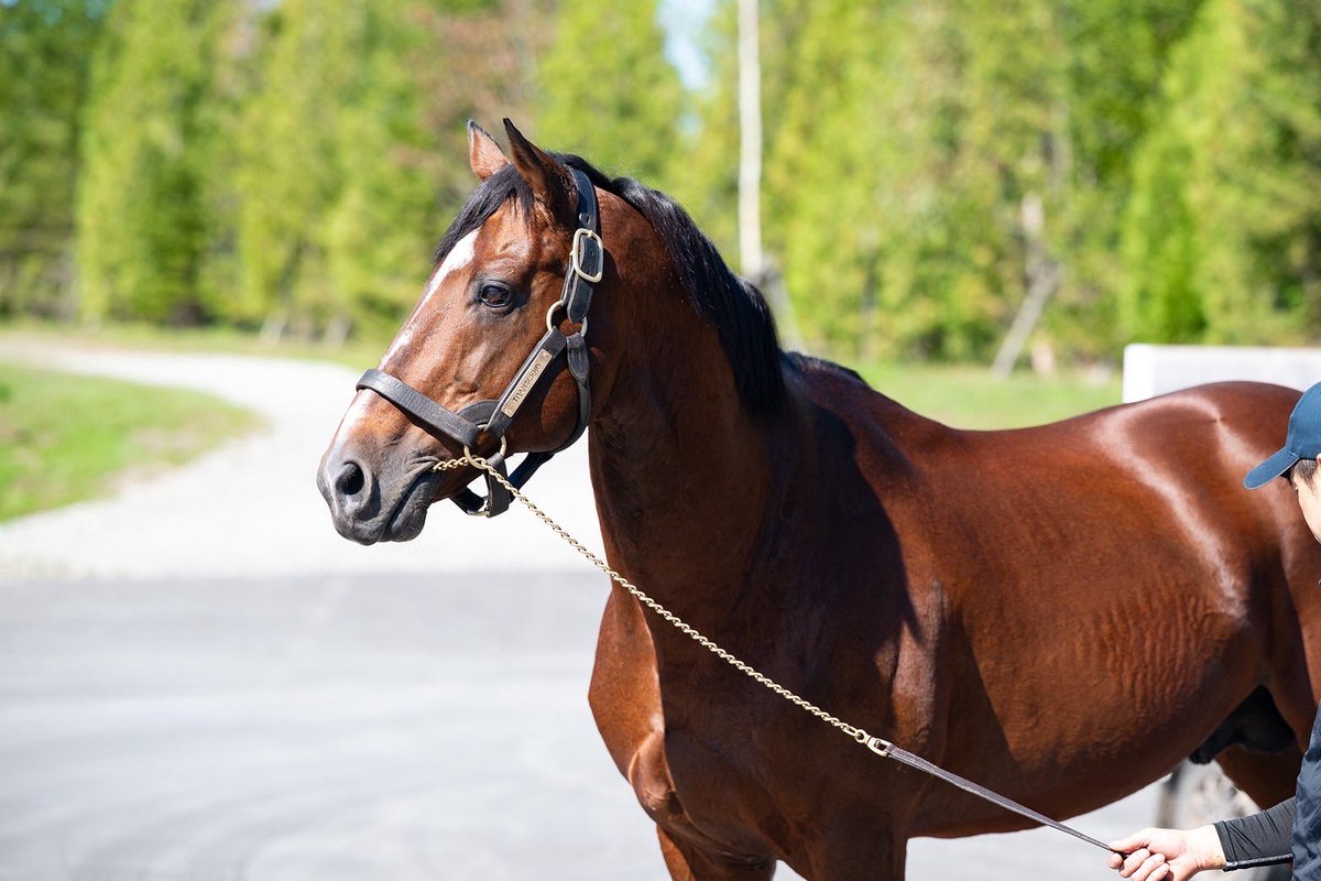 美里（みさと） (@michahime728) / X