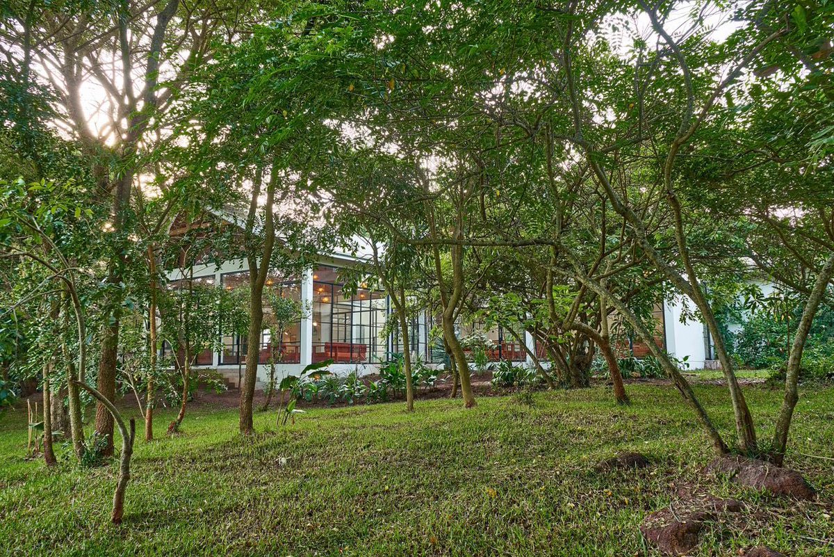 IgwaraLodge's tweet image. There’s a certain magic in watching the rain from the cover of the forest, followed by this incredible silence. 

Perfect day to be present, don't you think? 

#ListenToNature | #EscapeTheNoise