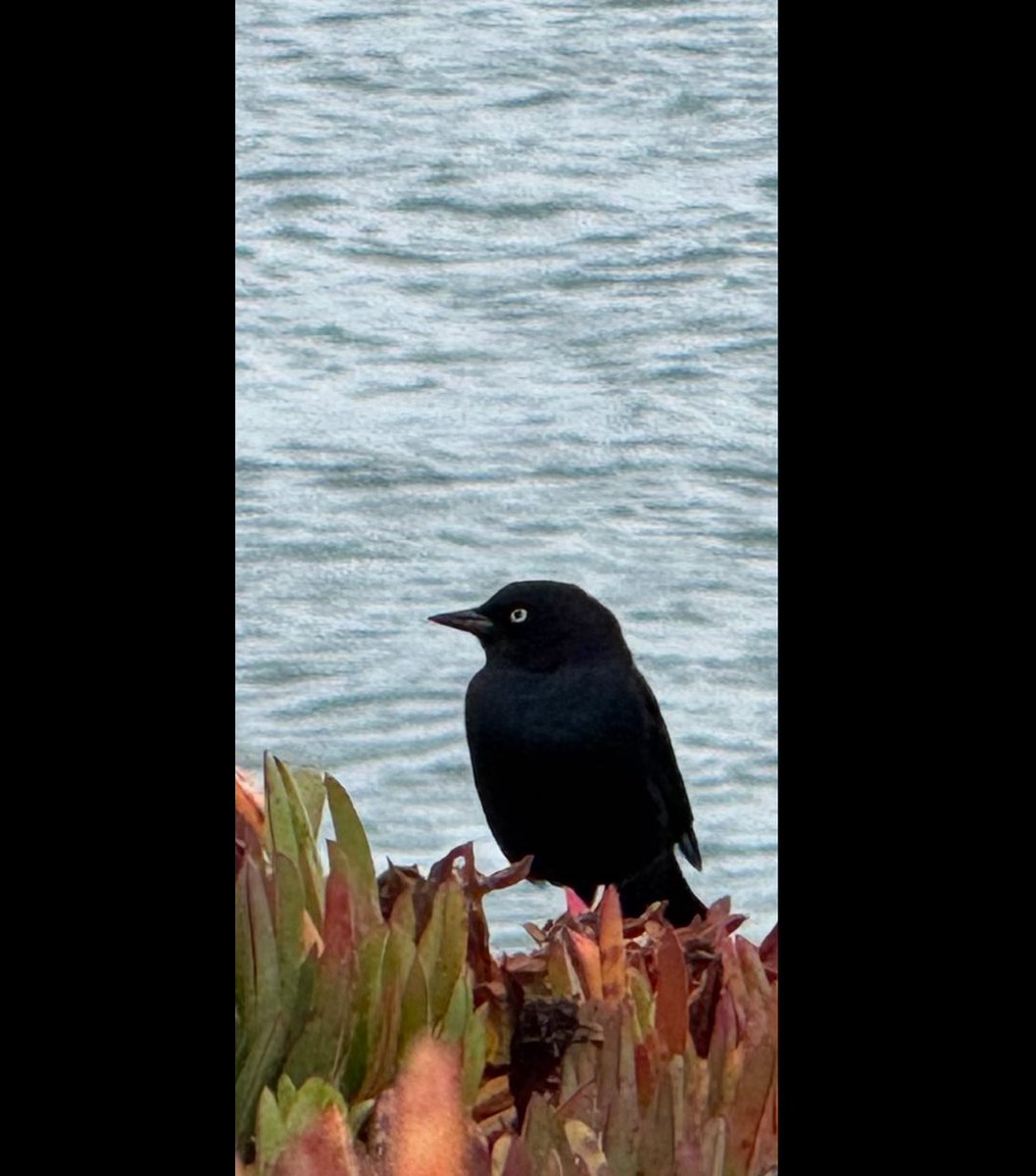 今天自己做的手机屏保图片 😀