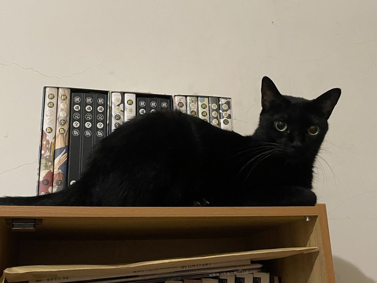 Kán Tì-hô (@chigou) on Twitter photo 