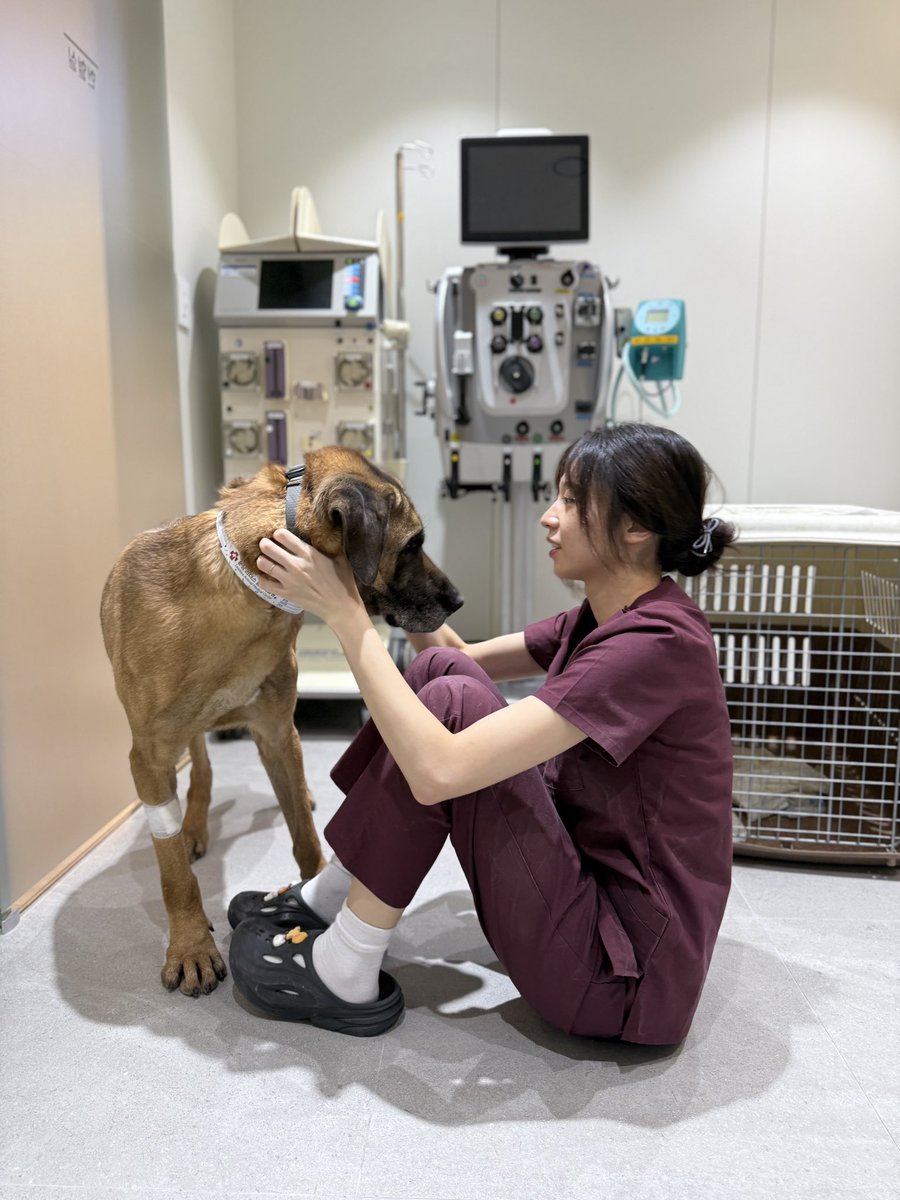 사함들은 우리의 존재를 없애려고 하지만
우리는 존재함으로써 작은 한 생명이라도 살리고 싶어요 ㅠ