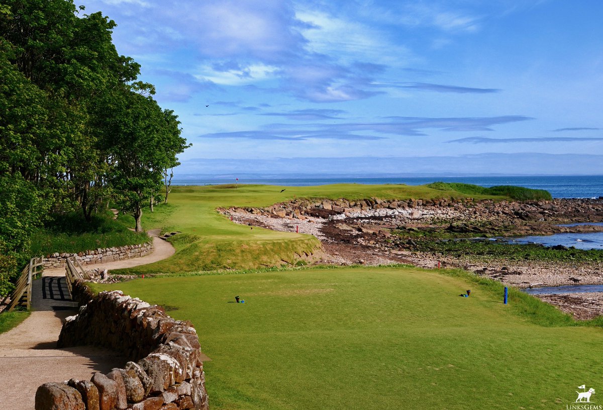 LinksGems tweet media