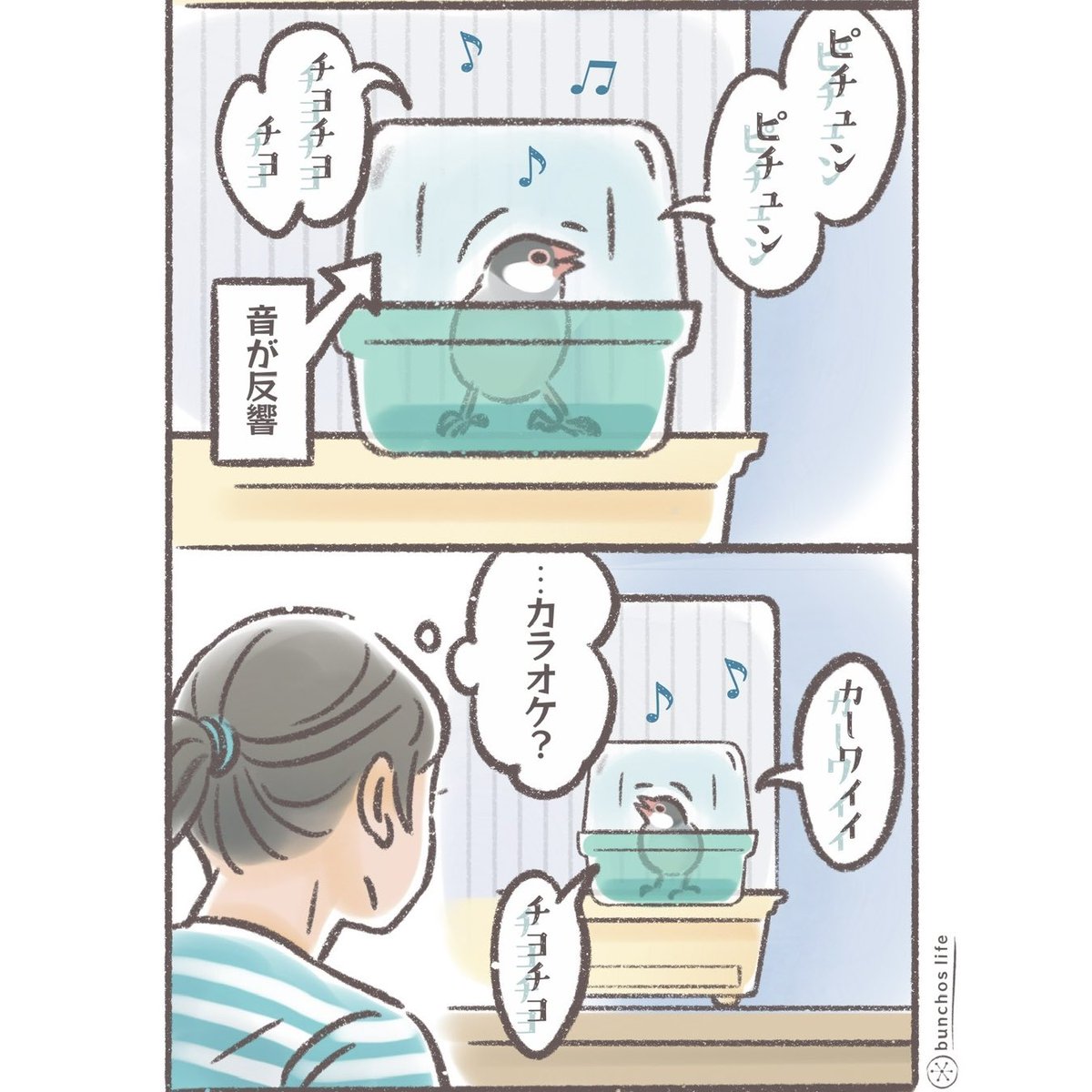 komugi_chan55's tweet image. たまにバードバスがカラオケルームになる
#文鳥 
#4コマ漫画