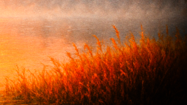 حرف 𝕏 ومعنى tweet media