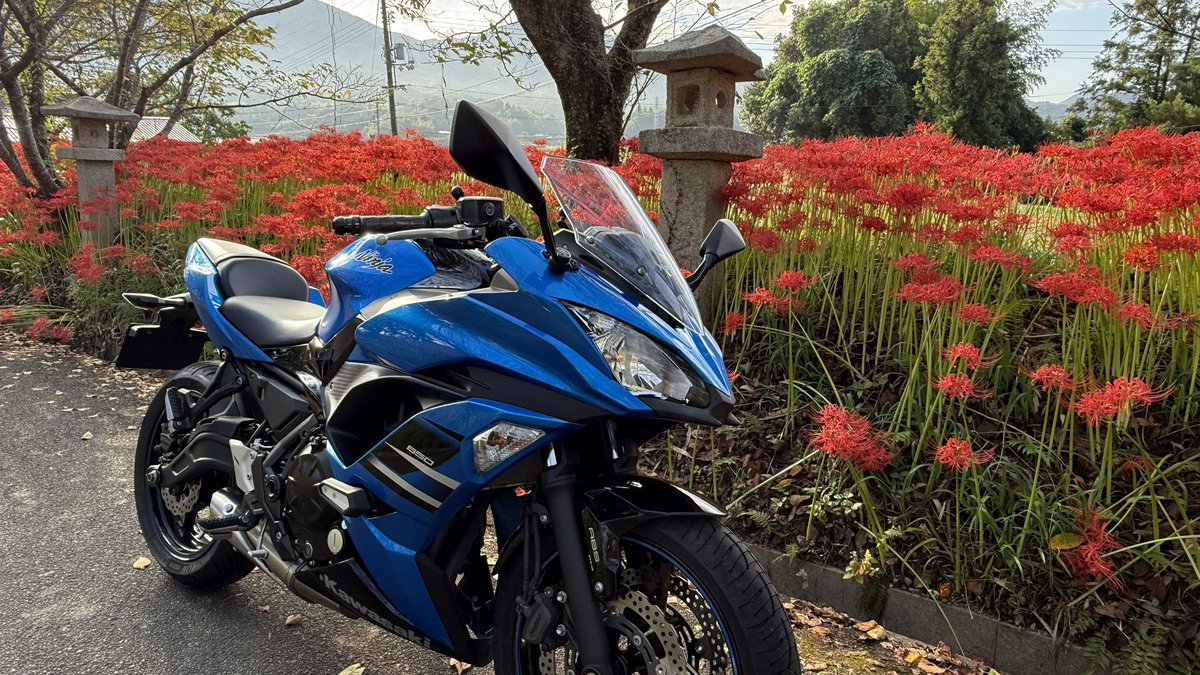 はっちライダーNinja650 (@ppkuru) / Posts / X