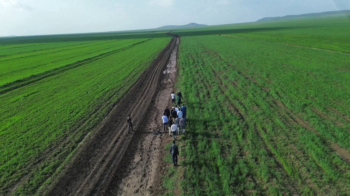 caraabiye's tweet photo. Duleedka lafaciise #Harawo #Awdal
#Faafan the breadbasket of Somali region #DDSI
Xigasho---> https://t.co/gP83nLvgfo https://t.co/T6cXRRtUzA