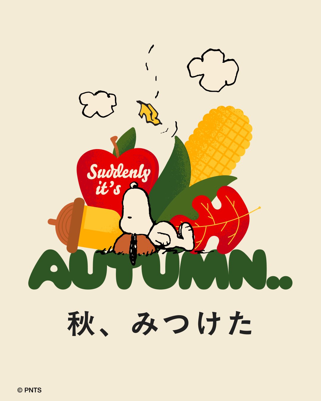 SNOOPY様ご説明画像追加 INFORMATION | 039LAUNDRY