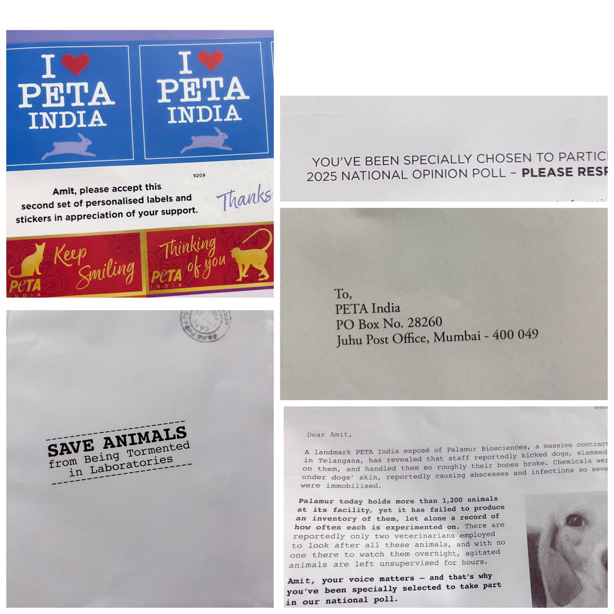 iamit_chaudhary's tweet image. It was a pleasant surprise &amp;amp; an honour to be chosen by @PetaIndia for the 2025 National Opinion Poll. This gives me an opportunity to help save more animals’ lives and share my insights with big names associated with PETA. Many Thanks to #PETA and its Director, Poorva Joshipura.