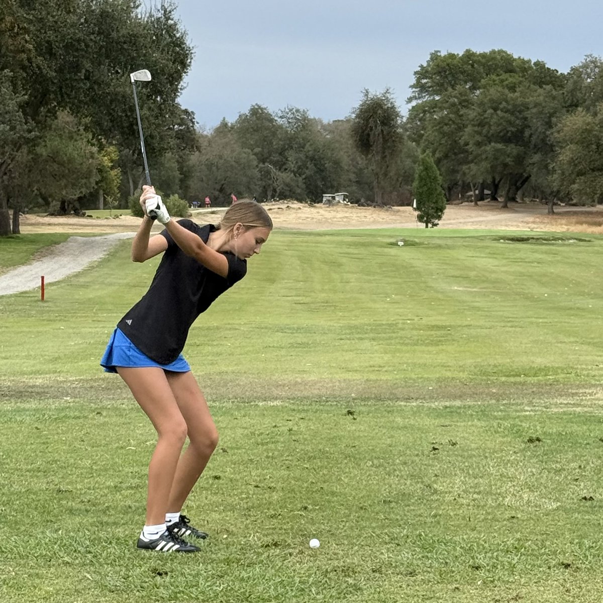 Rocklin Thunder Golf tweet media